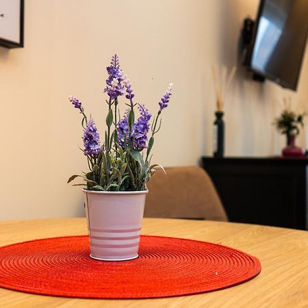 Apartment Mignon Belgrad Zewnętrze zdjęcie