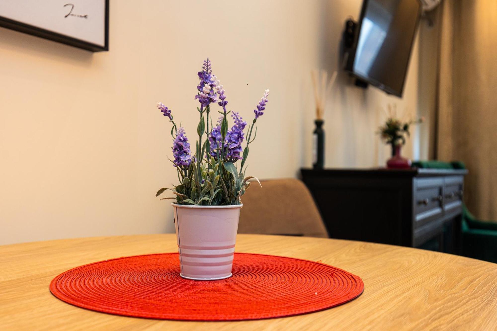 Apartment Mignon Belgrad Zewnętrze zdjęcie
